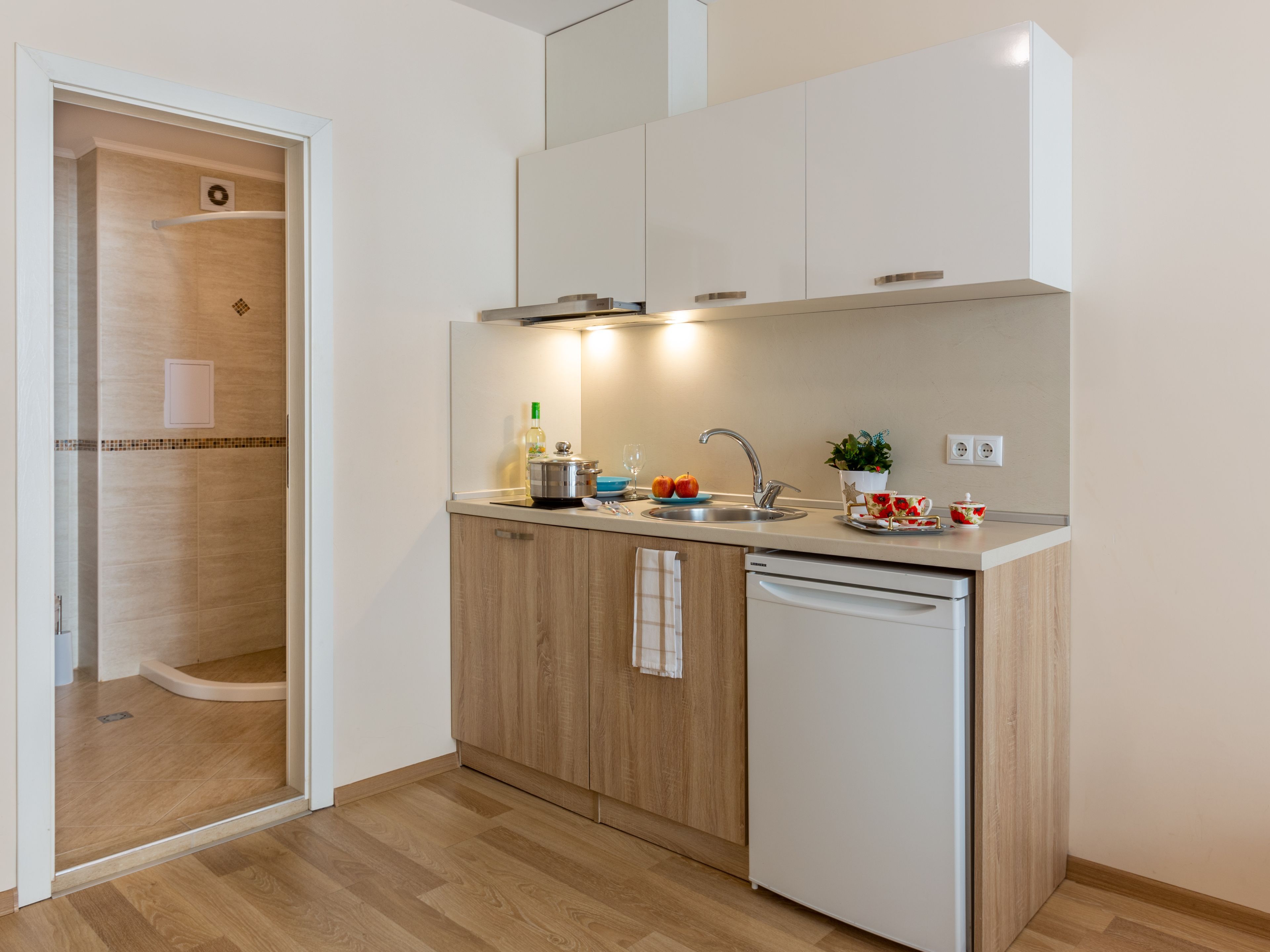 Zweibettzimmer (2 Einzelbetten) — Apartments Flora Burgas (2)